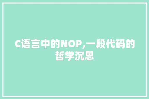 C语言中的NOP,一段代码的哲学沉思 WordPress教程