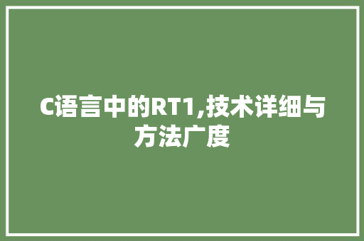 C语言中的RT1,技术详细与方法广度 建站教程