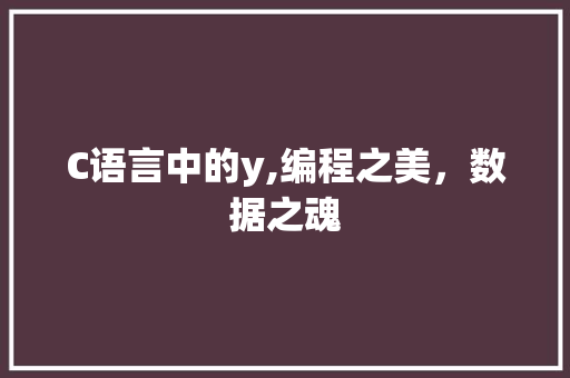 C语言中的y,编程之美，数据之魂
