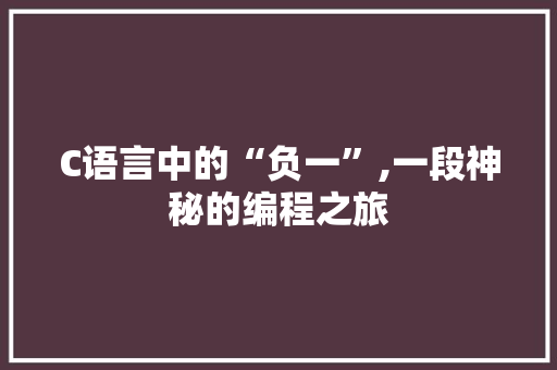 C语言中的“负一”,一段神秘的编程之旅