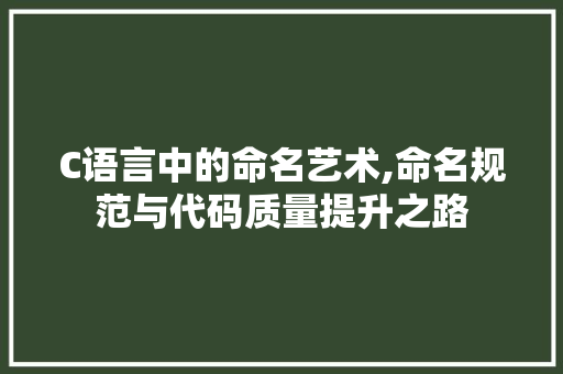 C语言中的命名艺术,命名规范与代码质量提升之路