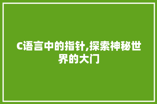 C语言中的指针,探索神秘世界的大门