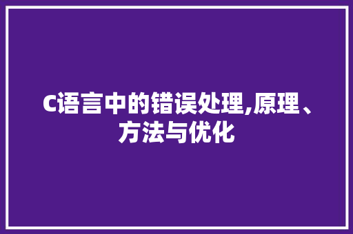 C语言中的错误处理,原理、方法与优化