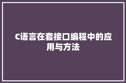 C语言在套接口编程中的应用与方法 SEO教程