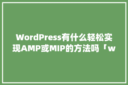 WordPress有什么轻松实现AMP或MIP的方法吗「wordpress实用代码」 建站教程
