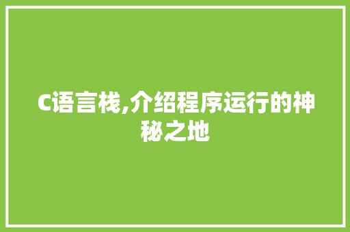 C语言栈,介绍程序运行的神秘之地 Web前端