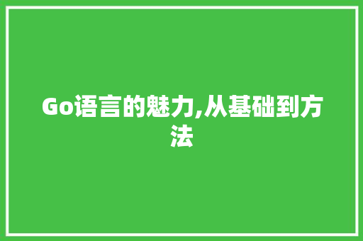 Go语言的魅力,从基础到方法