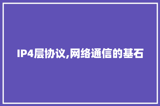 IP4层协议,网络通信的基石