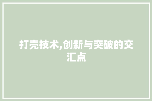 打壳技术,创新与突破的交汇点