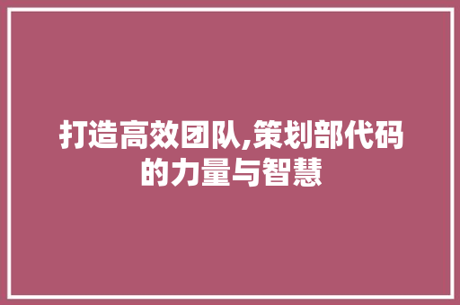 打造高效团队,策划部代码的力量与智慧