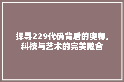 探寻229代码背后的奥秘,科技与艺术的完美融合 建站教程