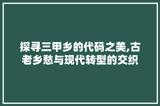 探寻三甲乡的代码之美,古老乡愁与现代转型的交织