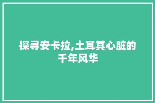 探寻安卡拉,土耳其心脏的千年风华