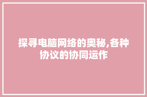 探寻电脑网络的奥秘,各种协议的协同运作