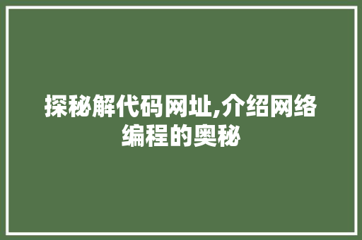 探秘解代码网址,介绍网络编程的奥秘 友链在线