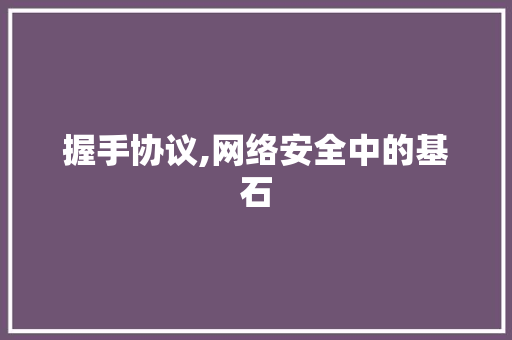 握手协议,网络安全中的基石