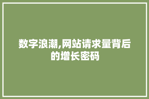数字浪潮,网站请求量背后的增长密码 SEO教程