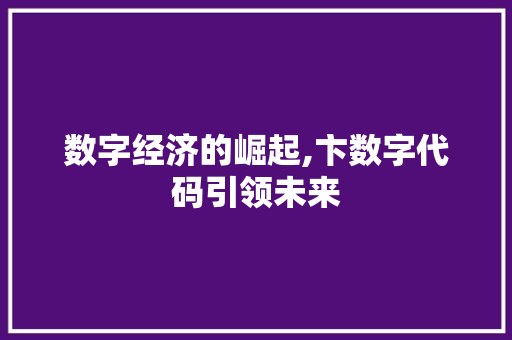 数字经济的崛起,卞数字代码引领未来