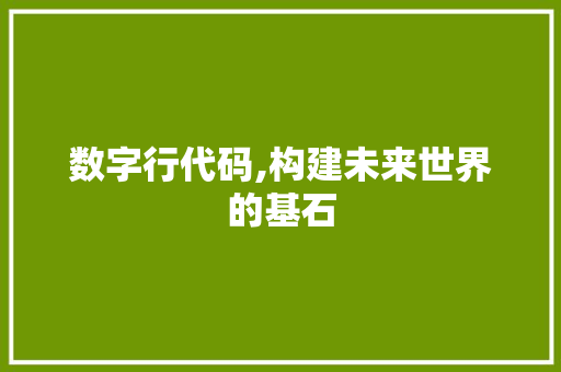 数字行代码,构建未来世界的基石