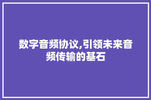 数字音频协议,引领未来音频传输的基石