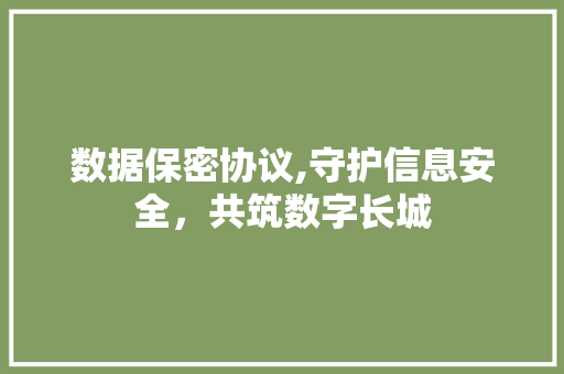 数据保密协议,守护信息安全，共筑数字长城