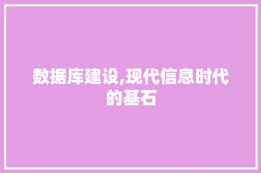 数据库建设,现代信息时代的基石 建站教程