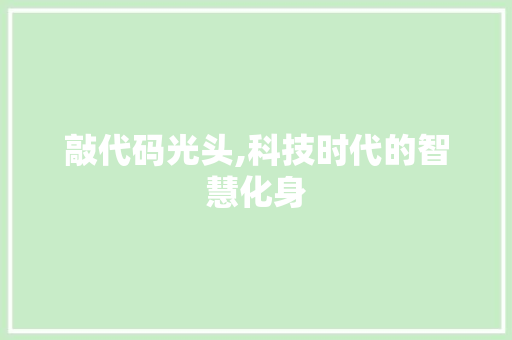 敲代码光头,科技时代的智慧化身