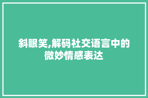 斜眼笑,解码社交语言中的微妙情感表达