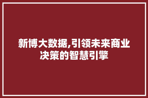 新博大数据,引领未来商业决策的智慧引擎