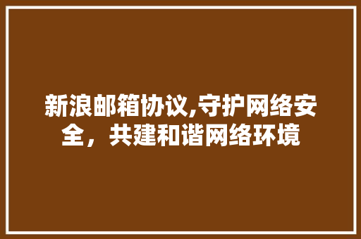 新浪邮箱协议,守护网络安全，共建和谐网络环境 Web前端