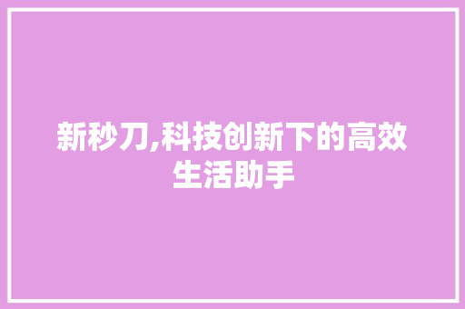 新秒刀,科技创新下的高效生活助手