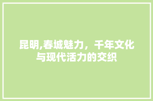 昆明,春城魅力，千年文化与现代活力的交织 建站教程