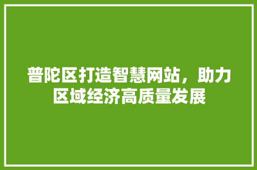 普陀区打造智慧网站，助力区域经济高质量发展 友链在线