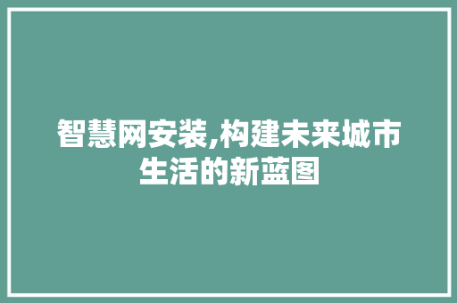 智慧网安装,构建未来城市生活的新蓝图 建站教程