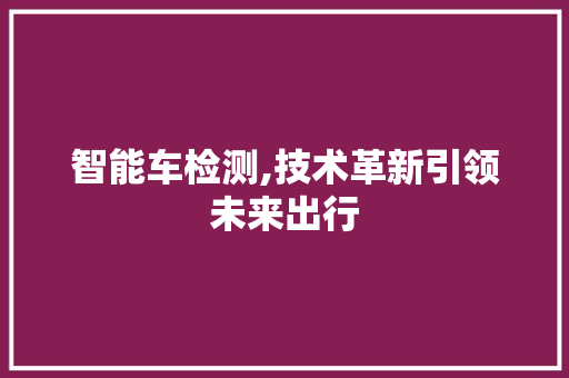 智能车检测,技术革新引领未来出行 建站教程