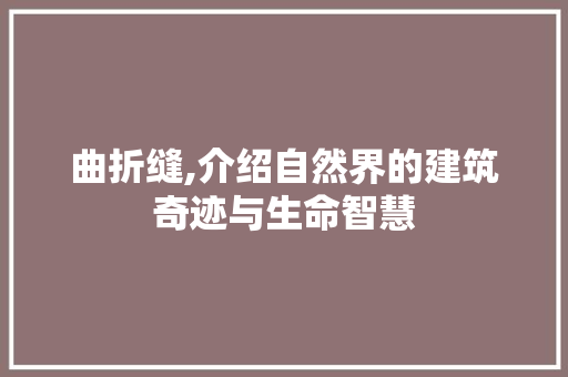 曲折缝,介绍自然界的建筑奇迹与生命智慧 建站教程
