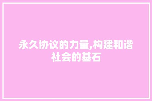永久协议的力量,构建和谐社会的基石