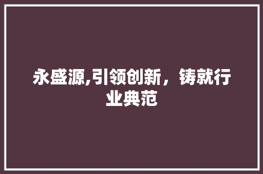 永盛源,引领创新，铸就行业典范