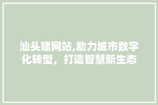 汕头建网站,助力城市数字化转型，打造智慧新生态