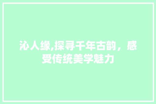沁人缘,探寻千年古韵，感受传统美学魅力 SEO教程