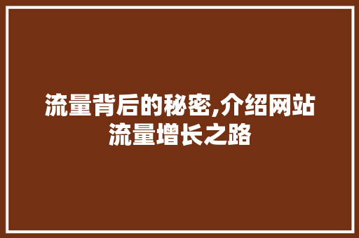 流量背后的秘密,介绍网站流量增长之路