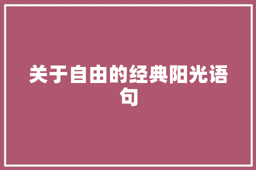 浦东新区,打造国际化网站，助力区域经济发展