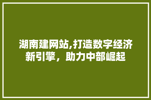 湖南建网站,打造数字经济新引擎，助力中部崛起
