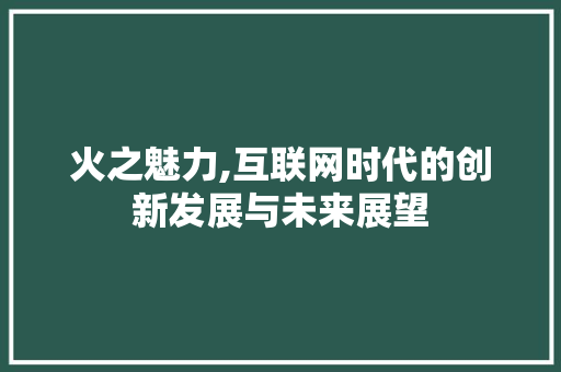 火之魅力,互联网时代的创新发展与未来展望