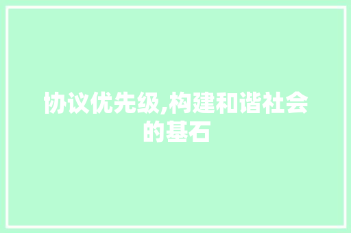 协议优先级,构建和谐社会的基石 SEO教程