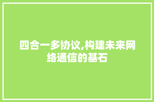 四合一多协议,构建未来网络通信的基石