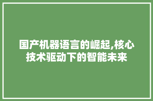 国产机器语言的崛起,核心技术驱动下的智能未来