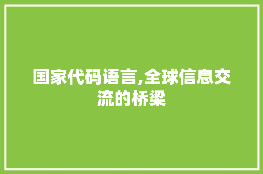 国家代码语言,全球信息交流的桥梁