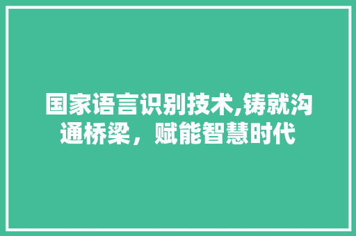 国家语言识别技术,铸就沟通桥梁，赋能智慧时代