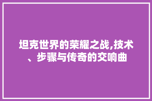 坦克世界的荣耀之战,技术、步骤与传奇的交响曲